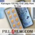 Kamagra 100 Mg Oral Jelly How To Use 44